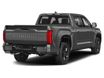 2023 Toyota Tundra 4WD Platinum