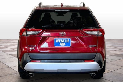 2019 Toyota RAV4 Adventure