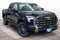 2023 Toyota Tundra 4WD Platinum