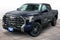 2023 Toyota Tundra 4WD Platinum