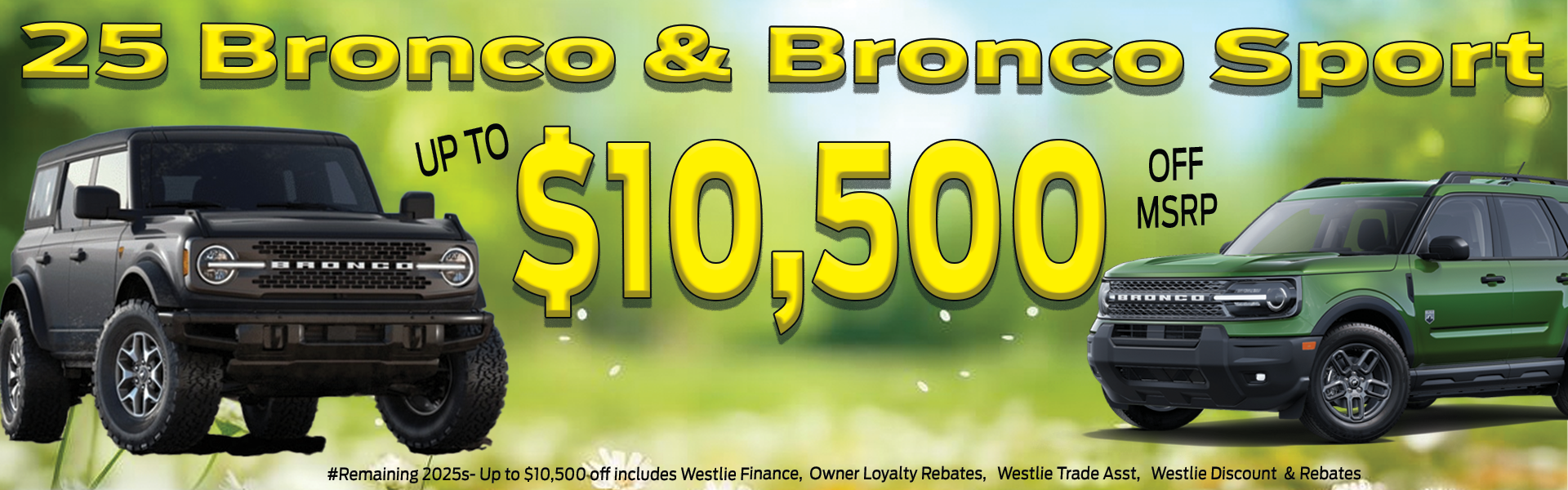 2025 Bronco and Bronco sport